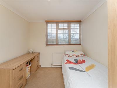 Picture 23